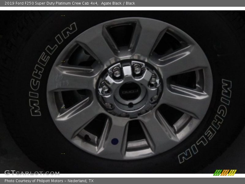 Agate Black / Black 2019 Ford F250 Super Duty Platinum Crew Cab 4x4