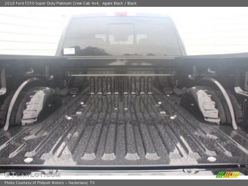 Agate Black / Black 2019 Ford F250 Super Duty Platinum Crew Cab 4x4