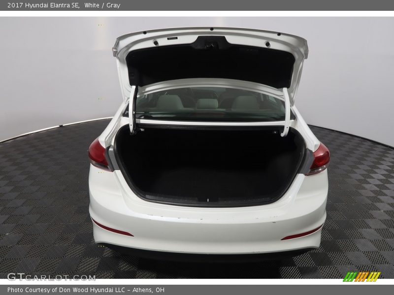 White / Gray 2017 Hyundai Elantra SE