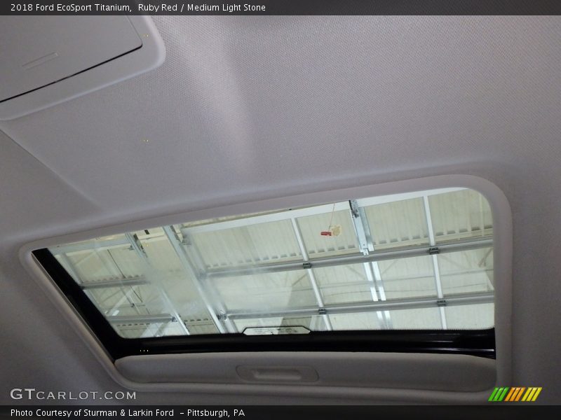 Ruby Red / Medium Light Stone 2018 Ford EcoSport Titanium