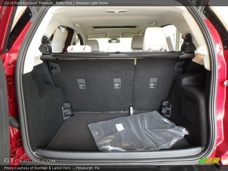 Ruby Red / Medium Light Stone 2018 Ford EcoSport Titanium