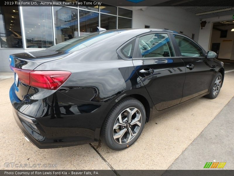 Aurora Black Pearl / Two Tone Gray 2019 Kia Forte LXS