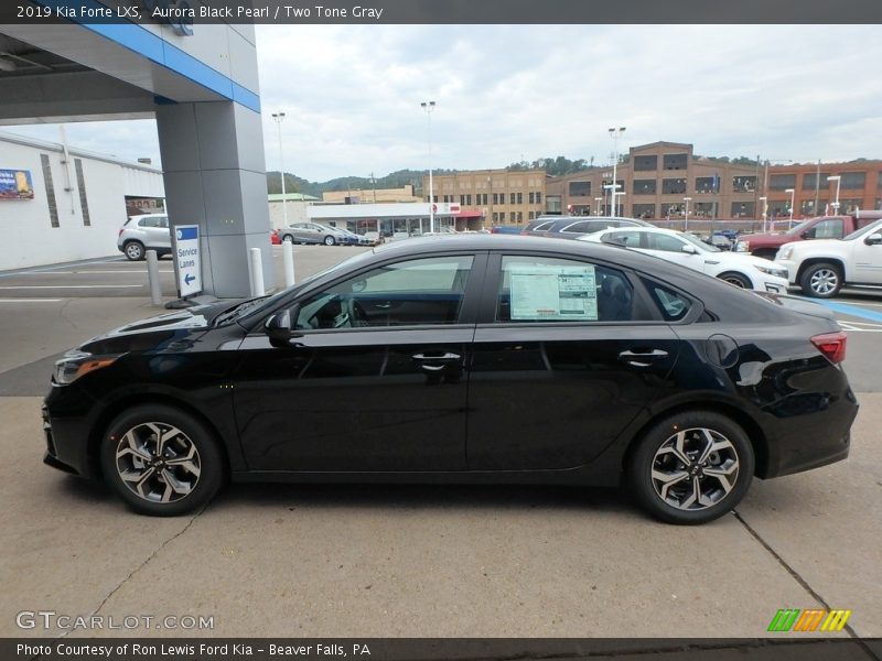 Aurora Black Pearl / Two Tone Gray 2019 Kia Forte LXS