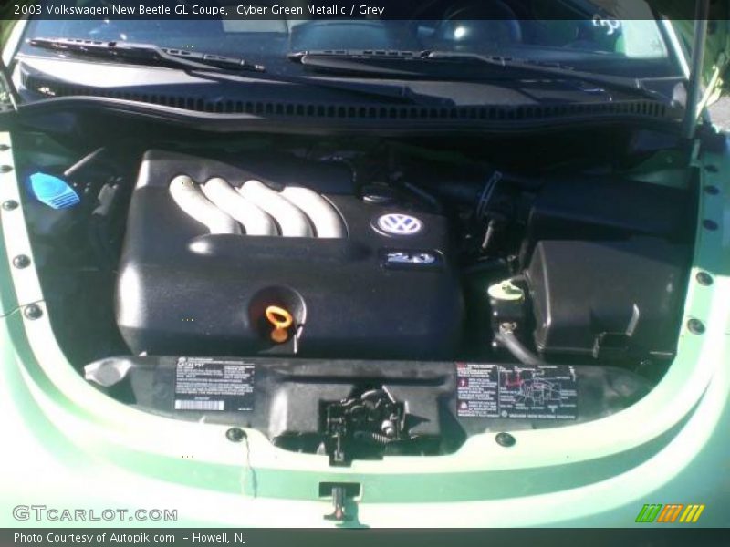 Cyber Green Metallic / Grey 2003 Volkswagen New Beetle GL Coupe