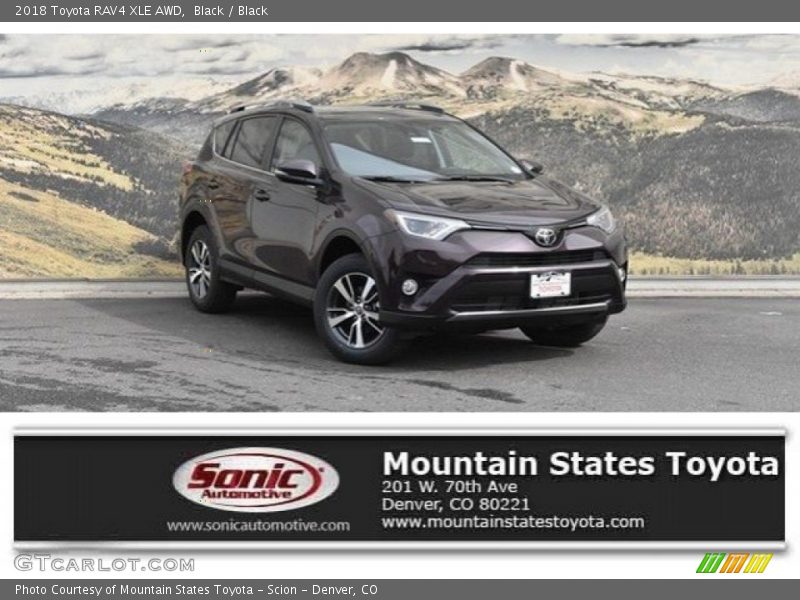 Black / Black 2018 Toyota RAV4 XLE AWD