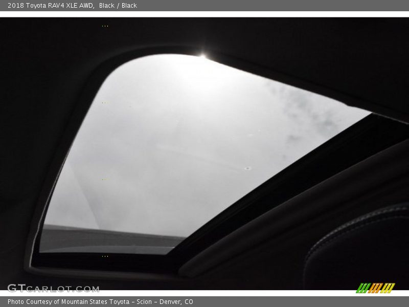 Black / Black 2018 Toyota RAV4 XLE AWD