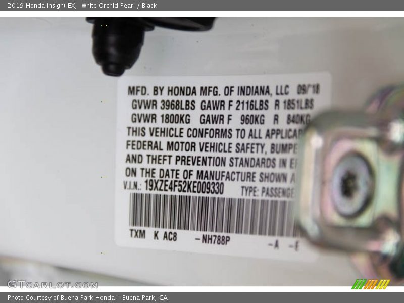 White Orchid Pearl / Black 2019 Honda Insight EX