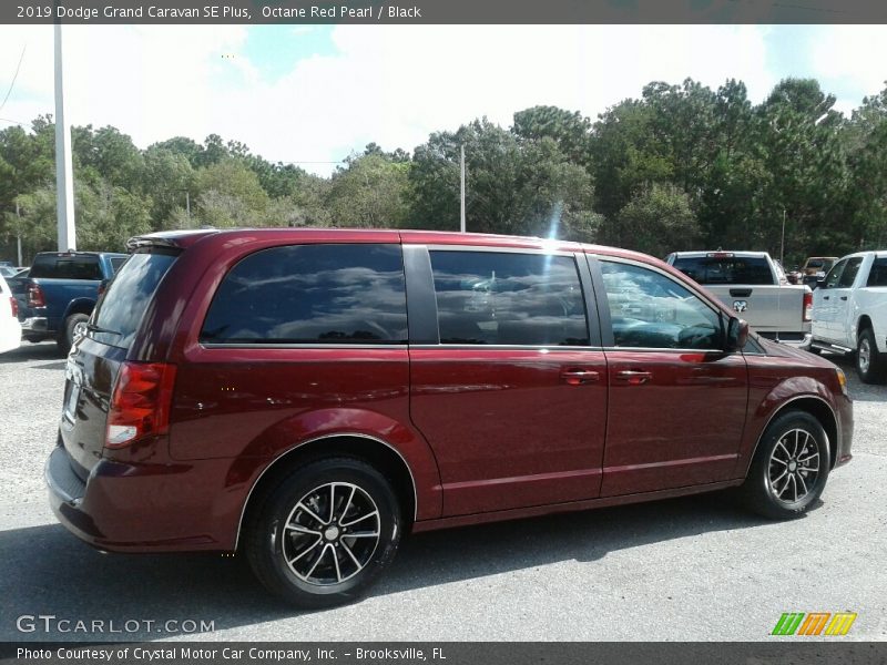 Octane Red Pearl / Black 2019 Dodge Grand Caravan SE Plus