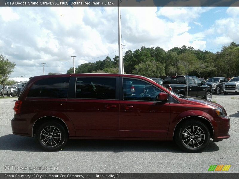 Octane Red Pearl / Black 2019 Dodge Grand Caravan SE Plus