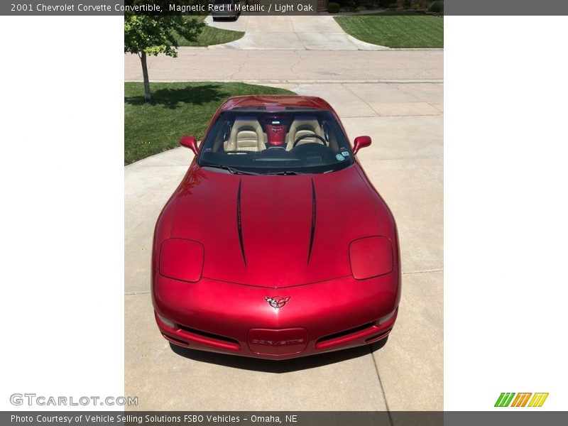Magnetic Red II Metallic / Light Oak 2001 Chevrolet Corvette Convertible