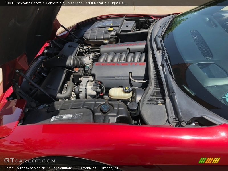 Magnetic Red II Metallic / Light Oak 2001 Chevrolet Corvette Convertible