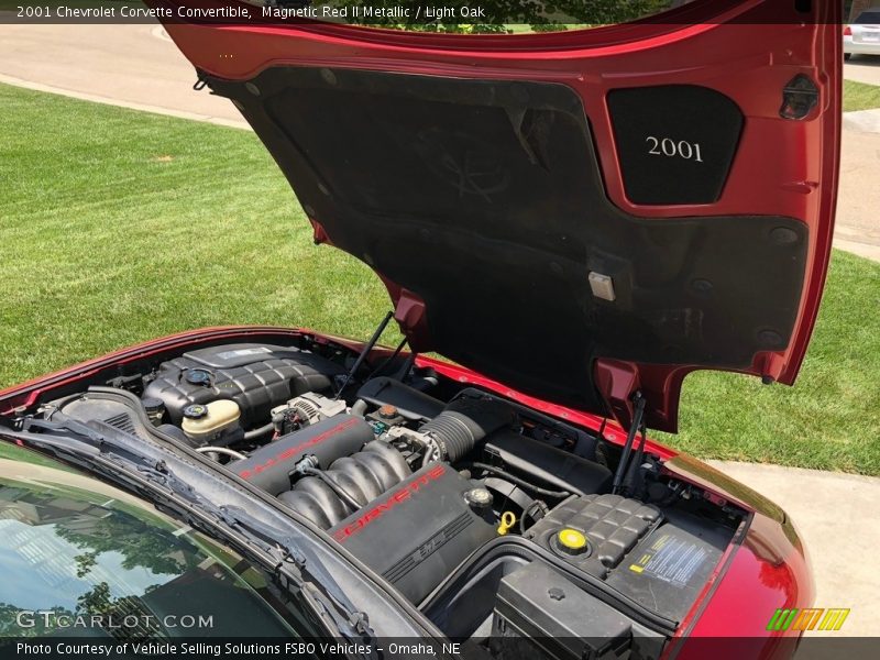 Magnetic Red II Metallic / Light Oak 2001 Chevrolet Corvette Convertible