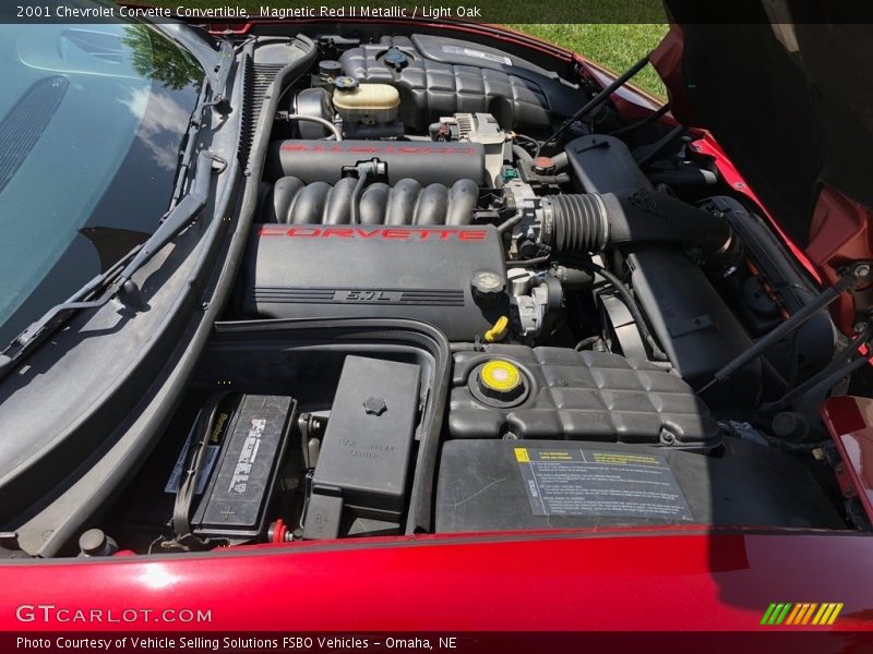Magnetic Red II Metallic / Light Oak 2001 Chevrolet Corvette Convertible