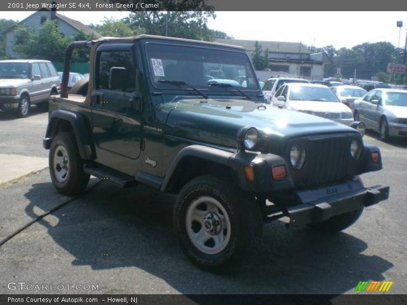 Forest Green / Camel 2001 Jeep Wrangler SE 4x4