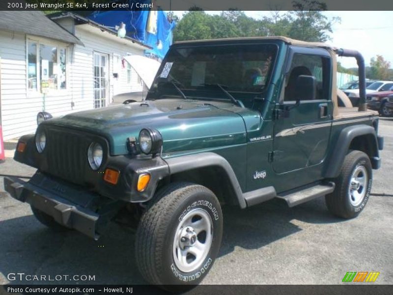 Forest Green / Camel 2001 Jeep Wrangler SE 4x4