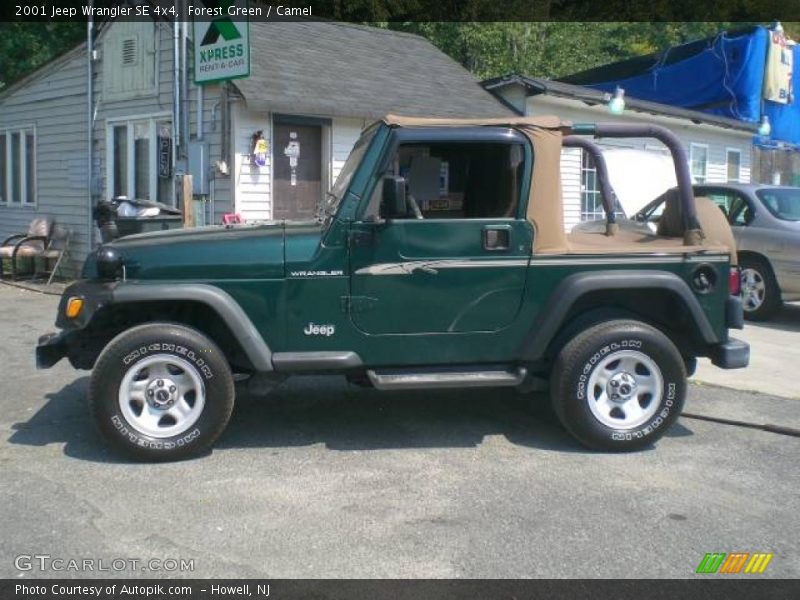 Forest Green / Camel 2001 Jeep Wrangler SE 4x4