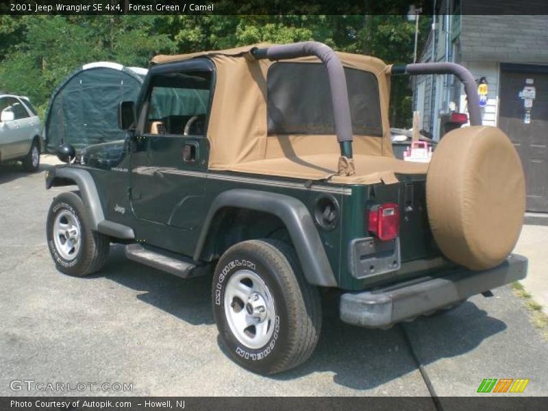 Forest Green / Camel 2001 Jeep Wrangler SE 4x4