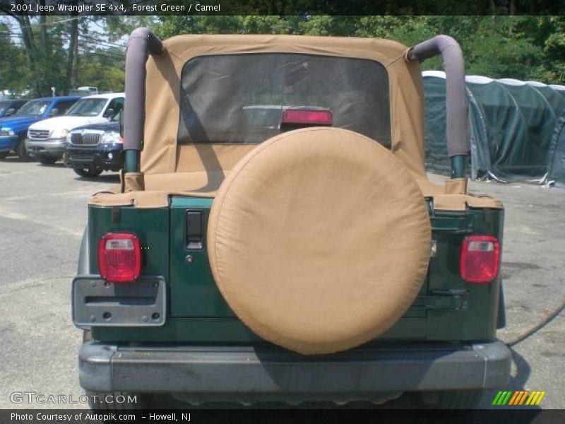 Forest Green / Camel 2001 Jeep Wrangler SE 4x4