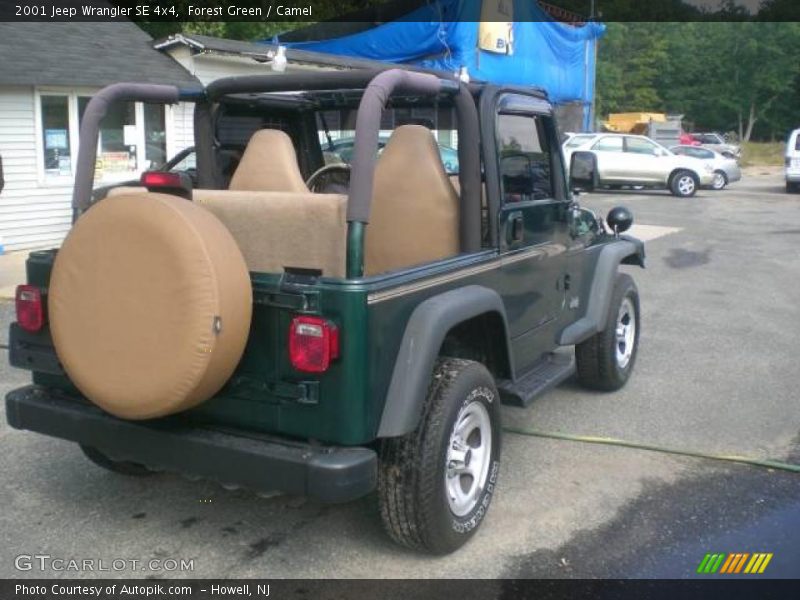 Forest Green / Camel 2001 Jeep Wrangler SE 4x4