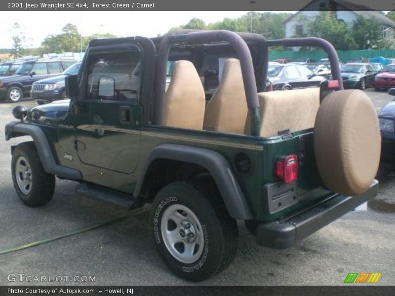 Forest Green / Camel 2001 Jeep Wrangler SE 4x4