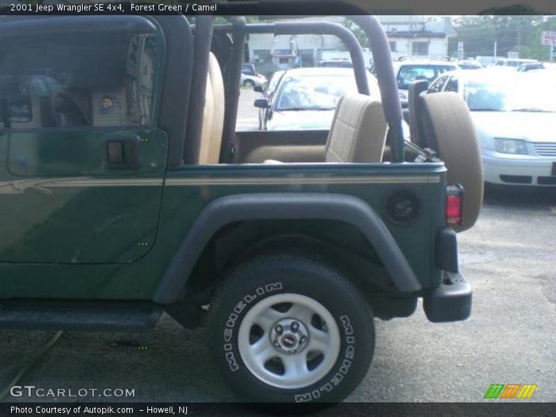 Forest Green / Camel 2001 Jeep Wrangler SE 4x4