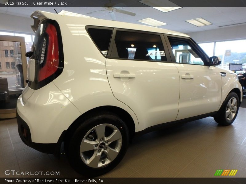 Clear White / Black 2019 Kia Soul
