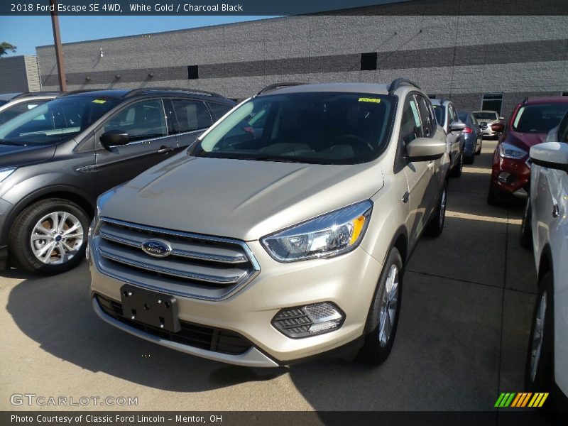 White Gold / Charcoal Black 2018 Ford Escape SE 4WD