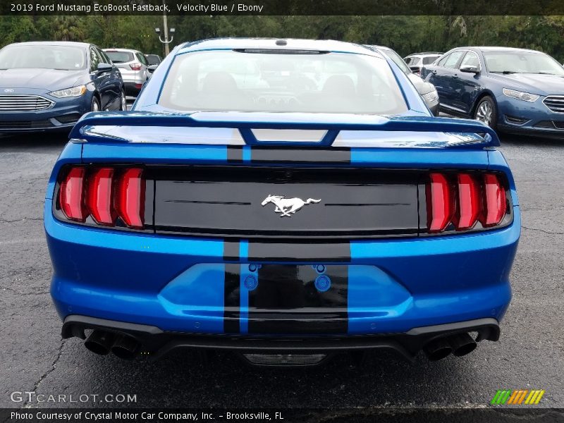 Velocity Blue / Ebony 2019 Ford Mustang EcoBoost Fastback