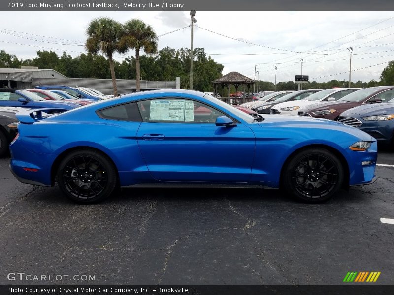 Velocity Blue / Ebony 2019 Ford Mustang EcoBoost Fastback