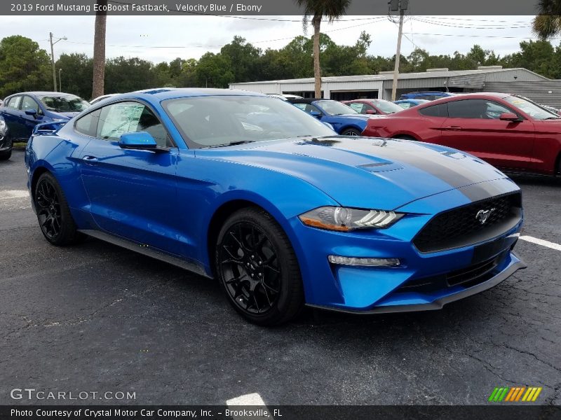  2019 Mustang EcoBoost Fastback Velocity Blue