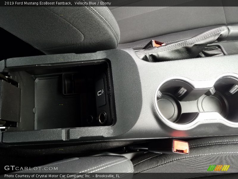 Velocity Blue / Ebony 2019 Ford Mustang EcoBoost Fastback
