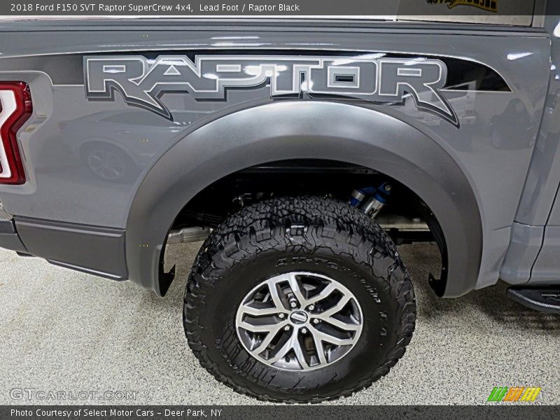Lead Foot / Raptor Black 2018 Ford F150 SVT Raptor SuperCrew 4x4