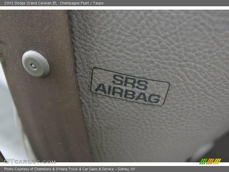 Champagne Pearl / Taupe 2001 Dodge Grand Caravan ES