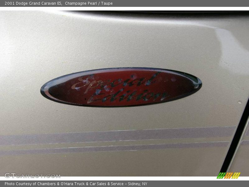 Champagne Pearl / Taupe 2001 Dodge Grand Caravan ES