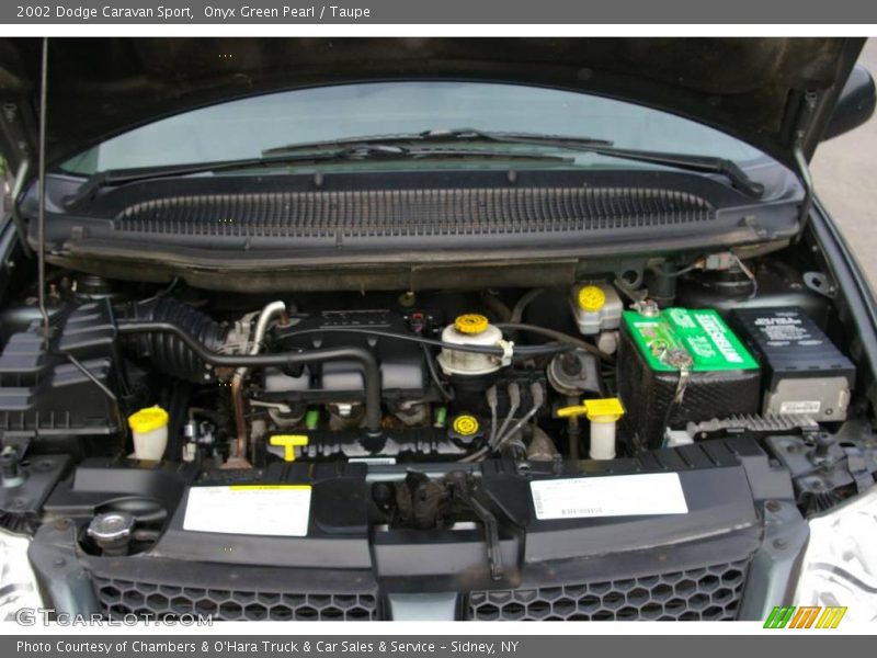 Onyx Green Pearl / Taupe 2002 Dodge Caravan Sport
