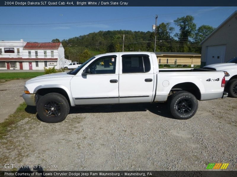 Bright White / Dark Slate Gray 2004 Dodge Dakota SLT Quad Cab 4x4