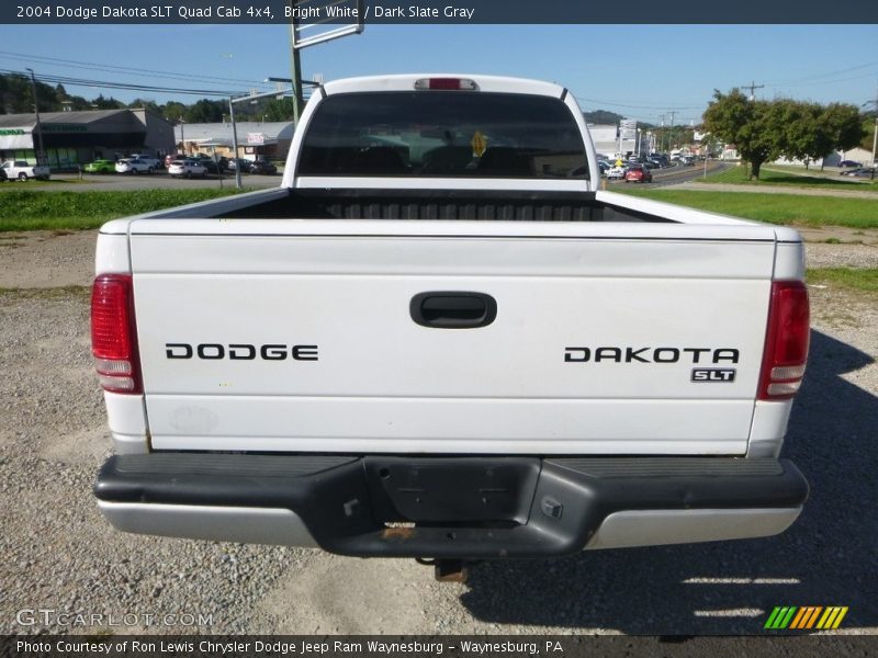 Bright White / Dark Slate Gray 2004 Dodge Dakota SLT Quad Cab 4x4