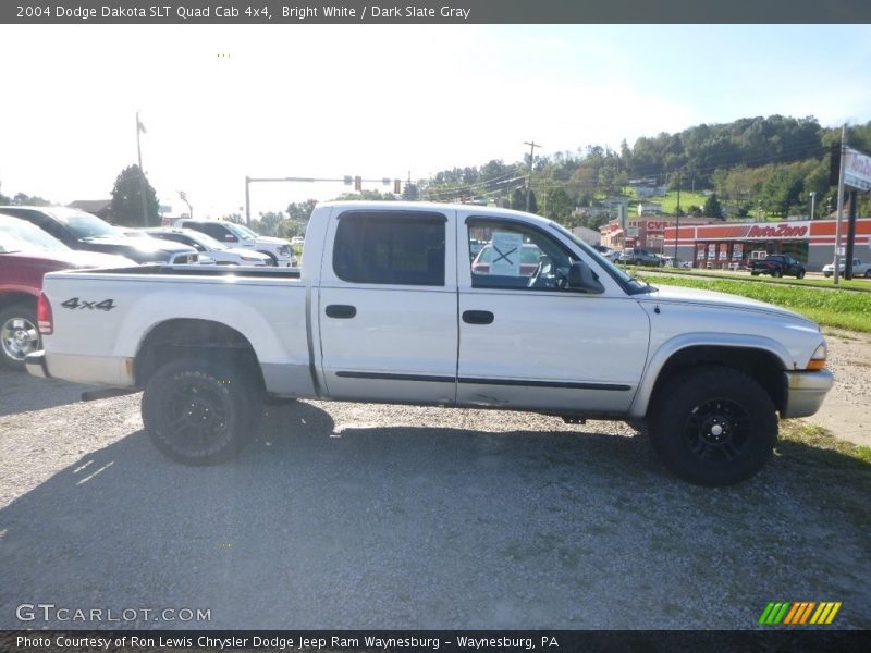 Bright White / Dark Slate Gray 2004 Dodge Dakota SLT Quad Cab 4x4