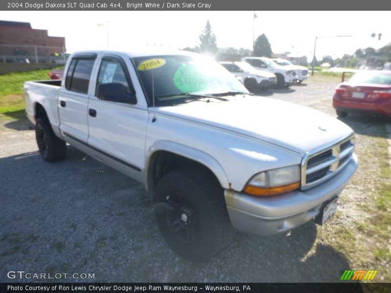 Bright White / Dark Slate Gray 2004 Dodge Dakota SLT Quad Cab 4x4