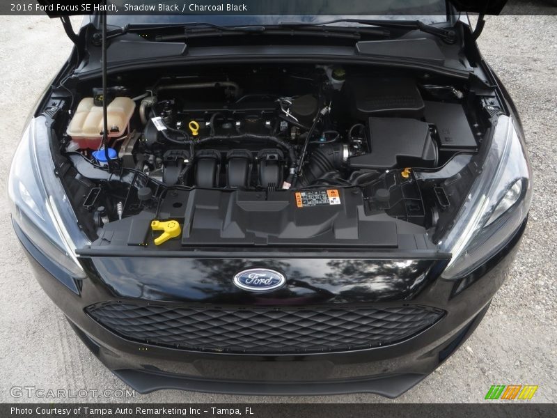 Shadow Black / Charcoal Black 2016 Ford Focus SE Hatch