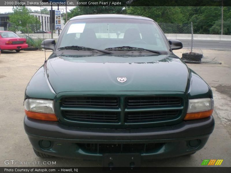 Forest Green Pearl / Agate 2000 Dodge Dakota Sport Extended Cab
