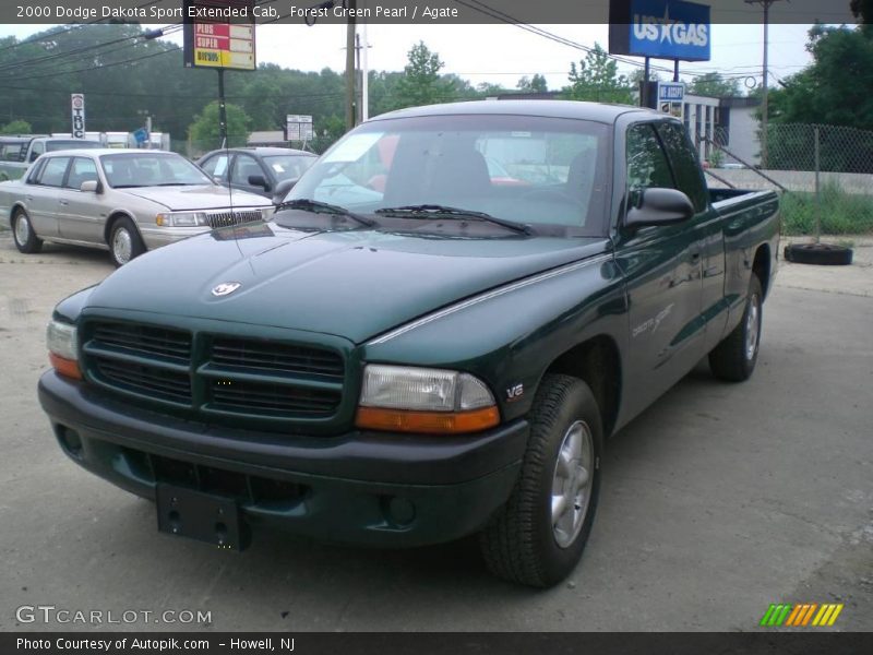 Forest Green Pearl / Agate 2000 Dodge Dakota Sport Extended Cab