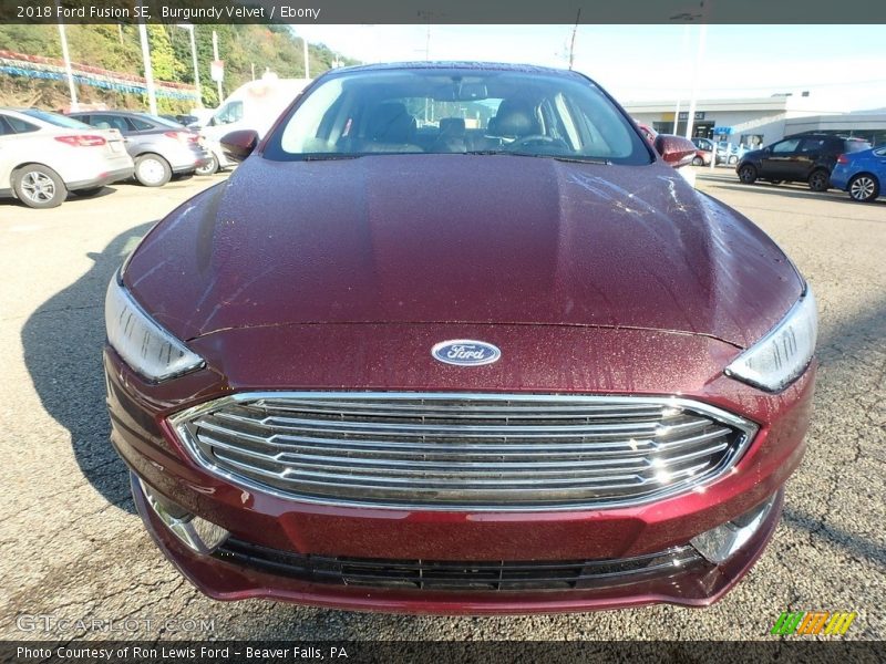 Burgundy Velvet / Ebony 2018 Ford Fusion SE