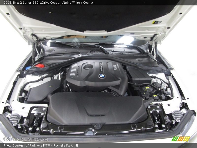 Alpine White / Cognac 2018 BMW 2 Series 230i xDrive Coupe