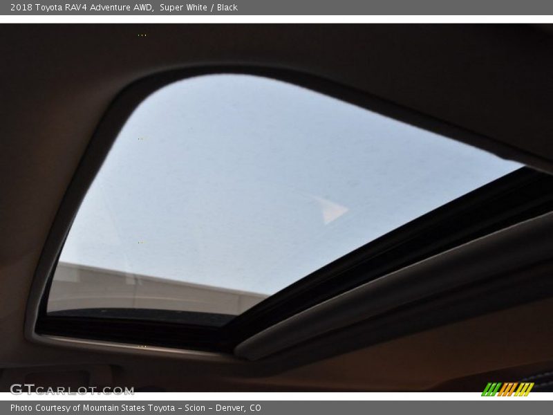 Super White / Black 2018 Toyota RAV4 Adventure AWD