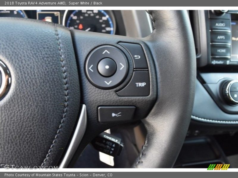 Super White / Black 2018 Toyota RAV4 Adventure AWD