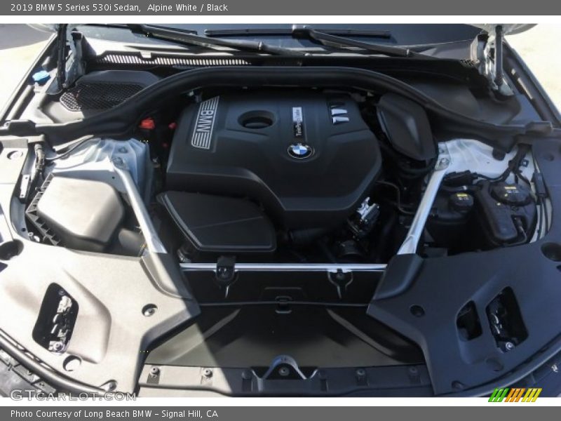 Alpine White / Black 2019 BMW 5 Series 530i Sedan