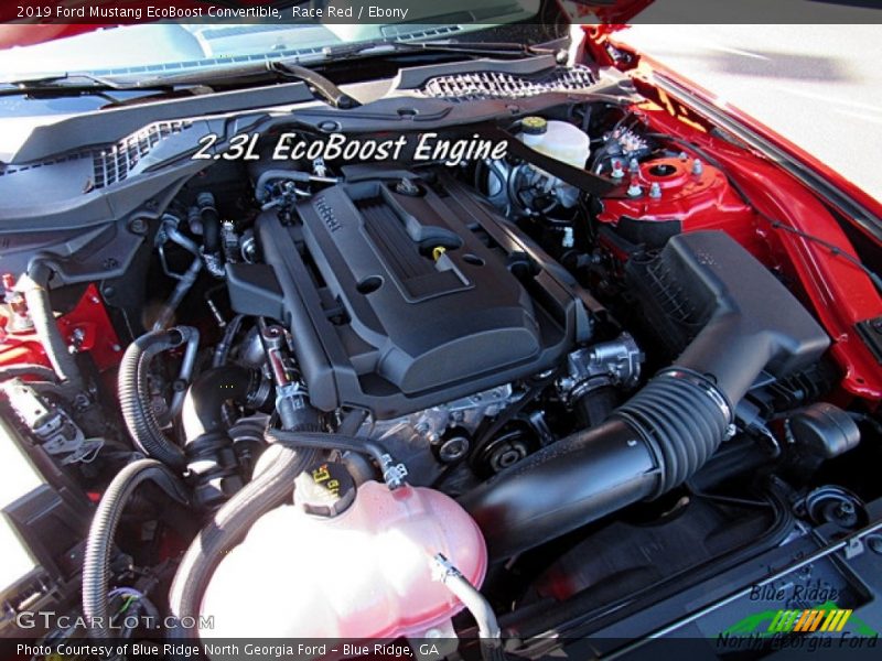 Race Red / Ebony 2019 Ford Mustang EcoBoost Convertible