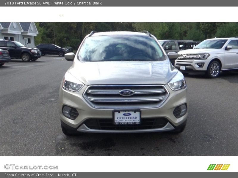 White Gold / Charcoal Black 2018 Ford Escape SE 4WD