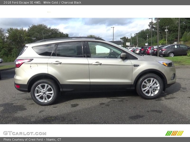 White Gold / Charcoal Black 2018 Ford Escape SE 4WD